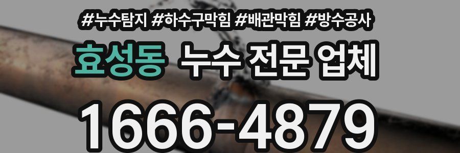 효성동 누수 전문 업체