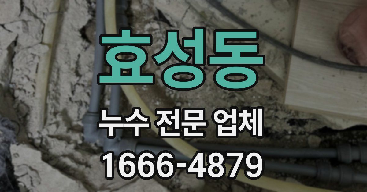 효성동 누수 전문 업체