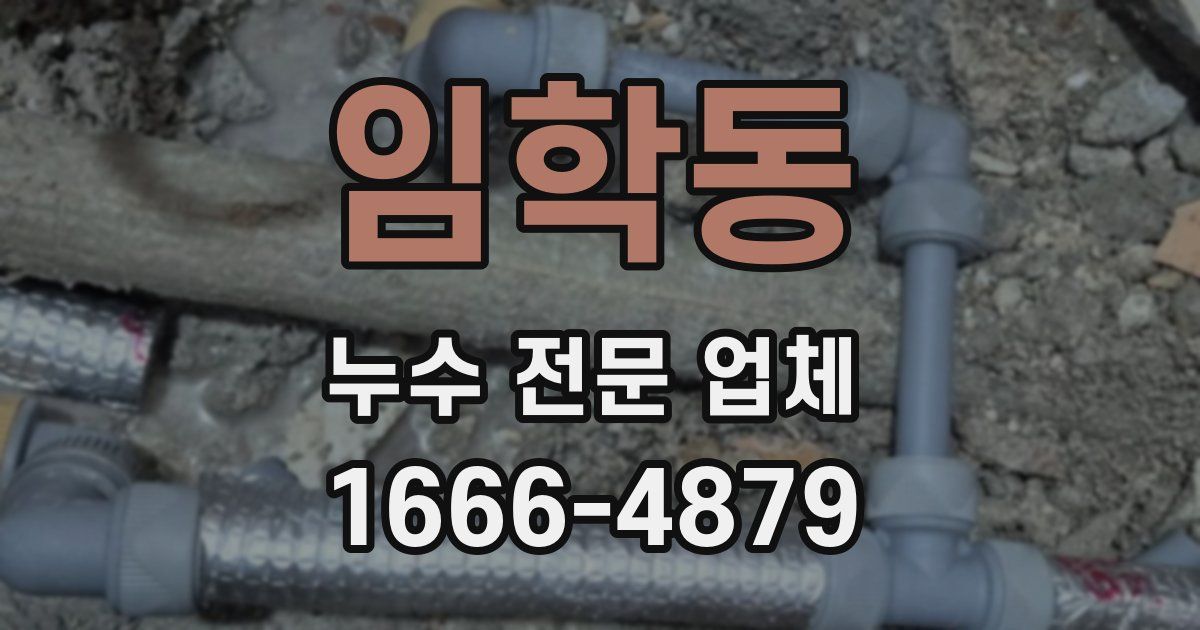 임학동 누수 전문 업체
