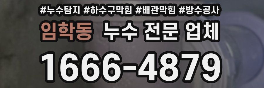 임학동 누수 전문 업체