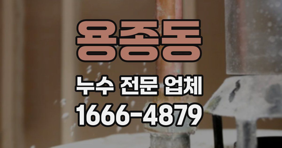 용종동 누수 전문 업체