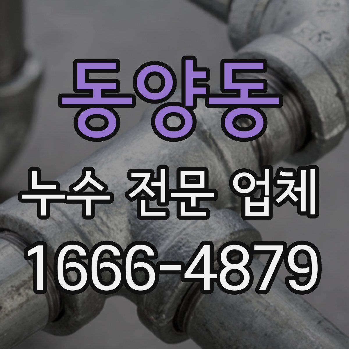 동양동 누수 전문 업체