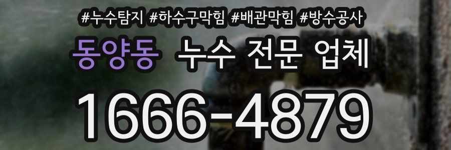 동양동 누수 전문 업체