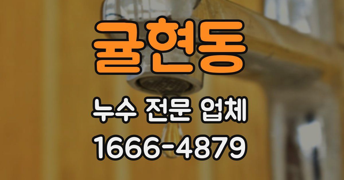 귤현동 누수 전문 업체