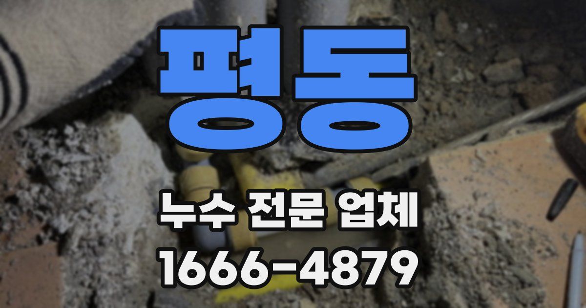 평동 누수 전문 업체