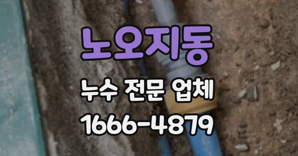 노오지동 누수 전문 업체