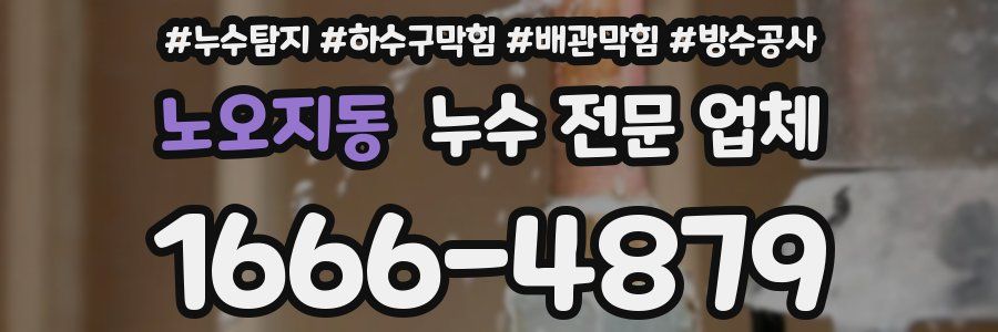 노오지동 누수 전문 업체