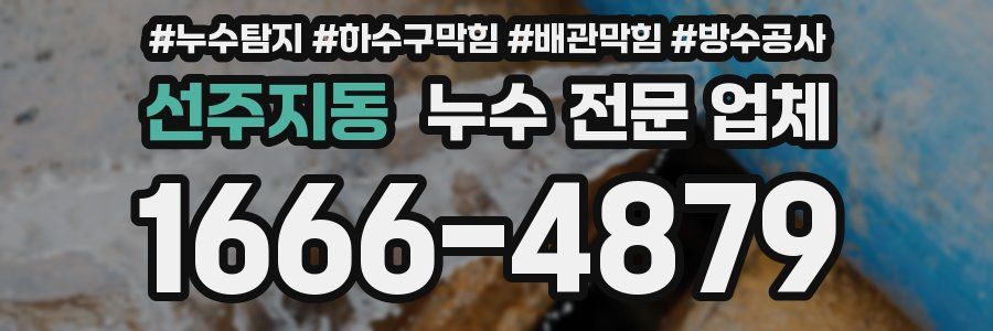 선주지동 누수 전문 업체