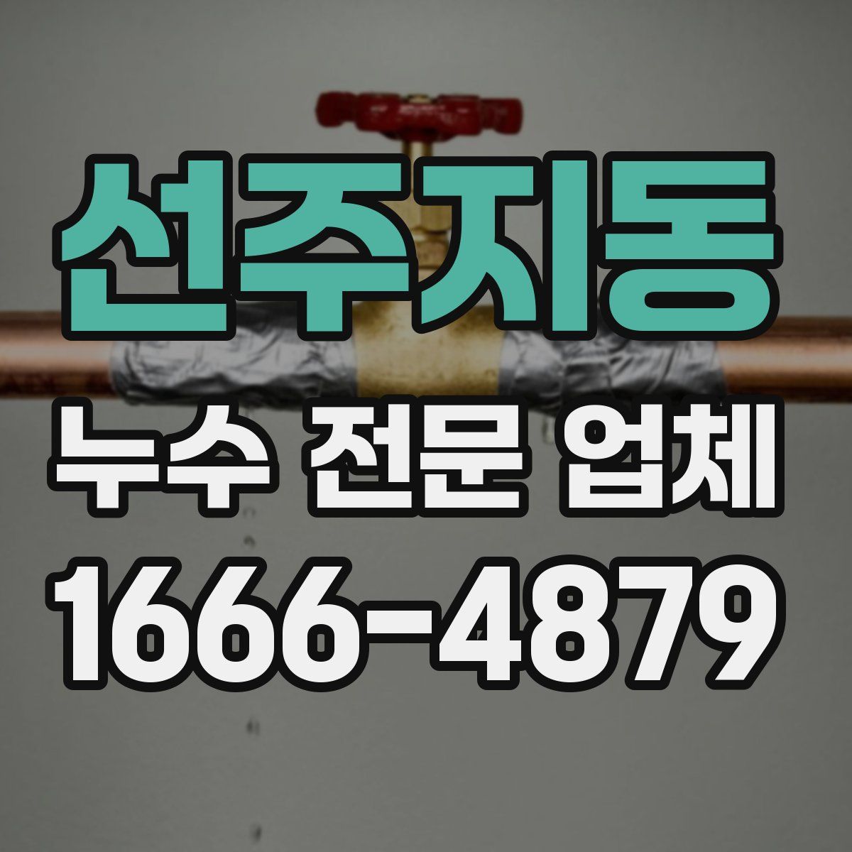 선주지동 누수 전문 업체