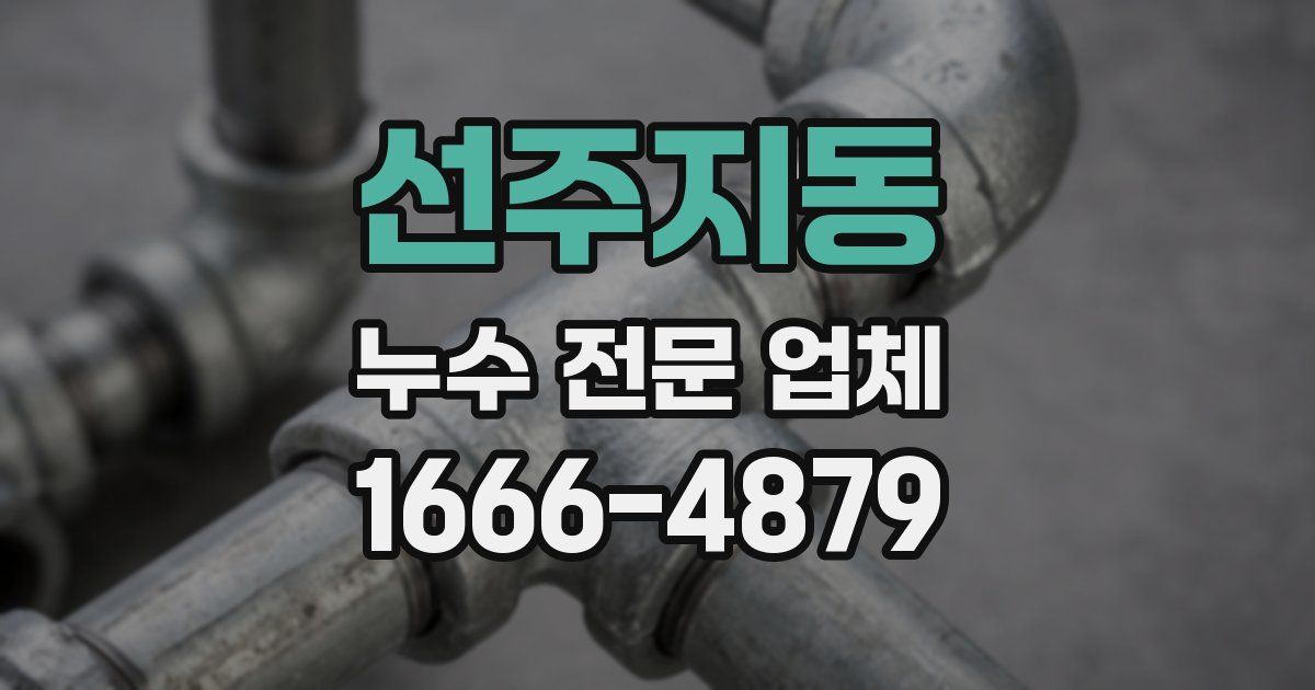 선주지동 누수 전문 업체