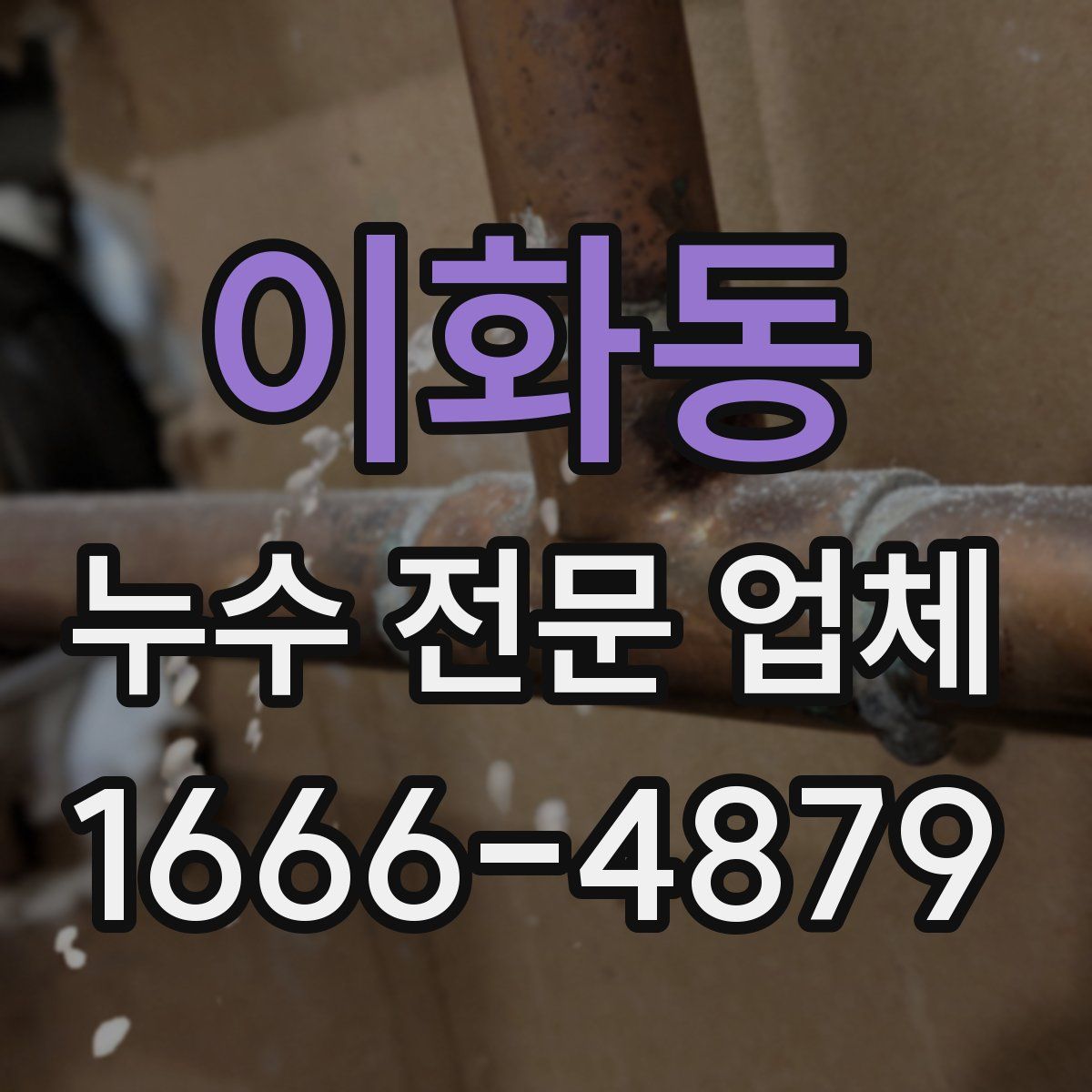 이화동 누수 전문 업체