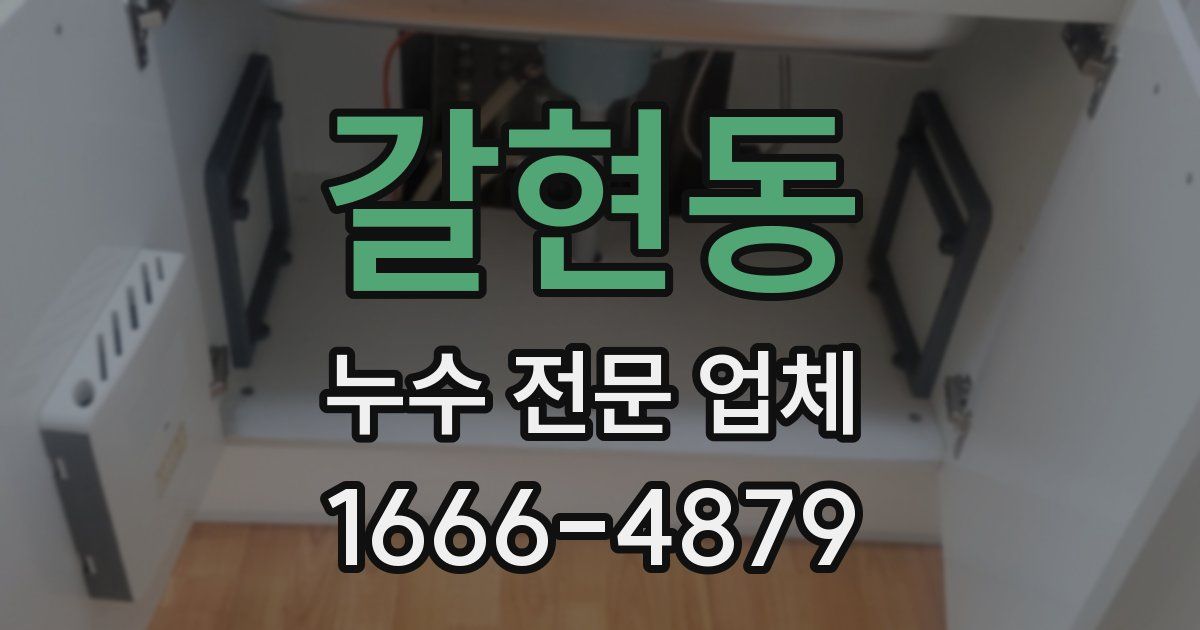 갈현동 누수 전문 업체