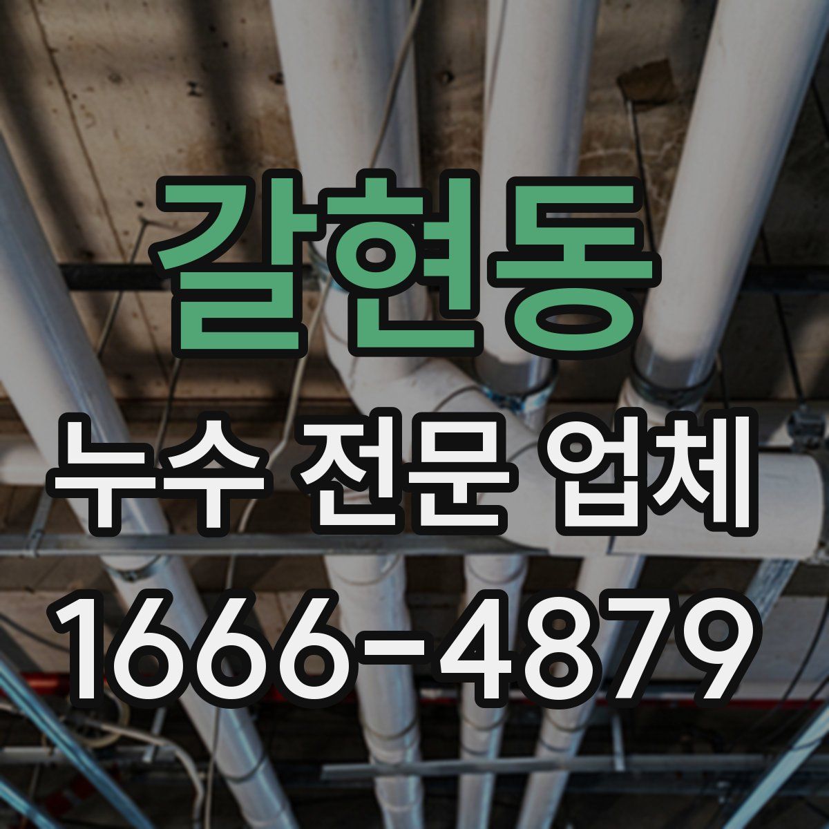 갈현동 누수 전문 업체