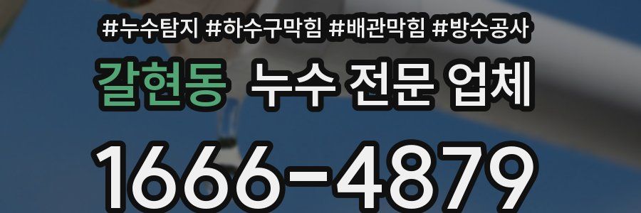 갈현동 누수 전문 업체