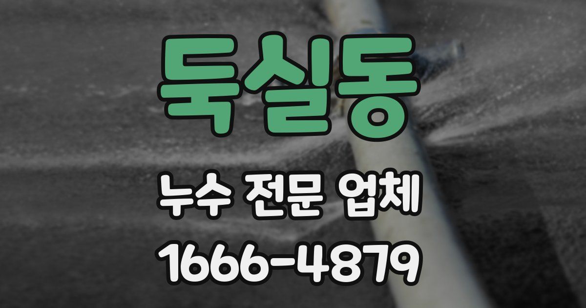 둑실동 누수 전문 업체