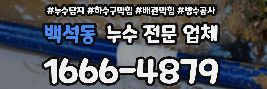 백석동 누수 전문 업체