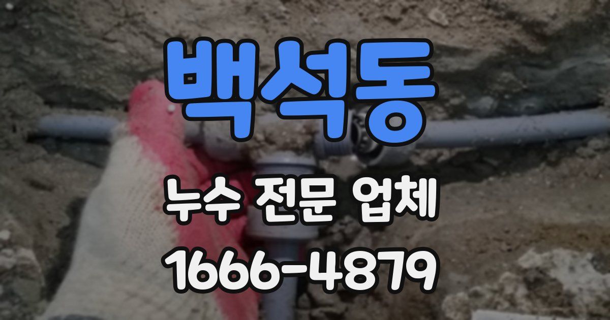백석동 누수 전문 업체