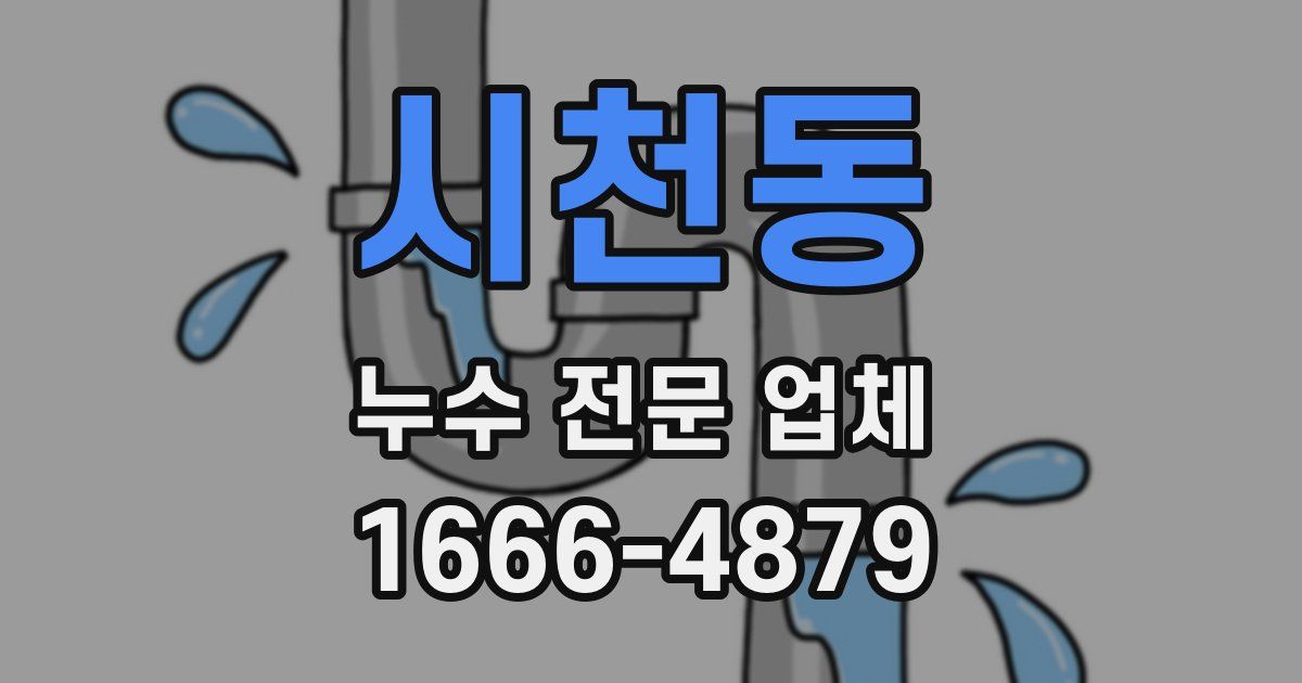 시천동 누수 전문 업체