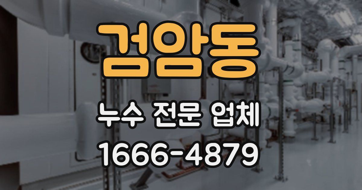 검암동 누수 전문 업체