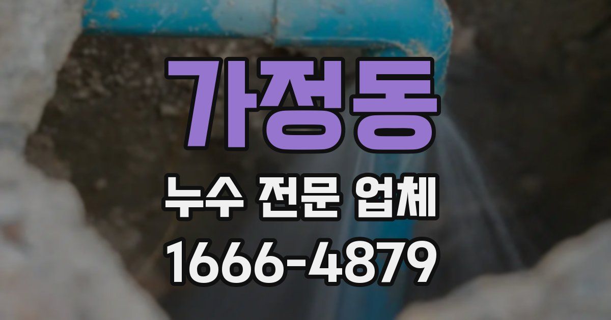가정동 누수 전문 업체