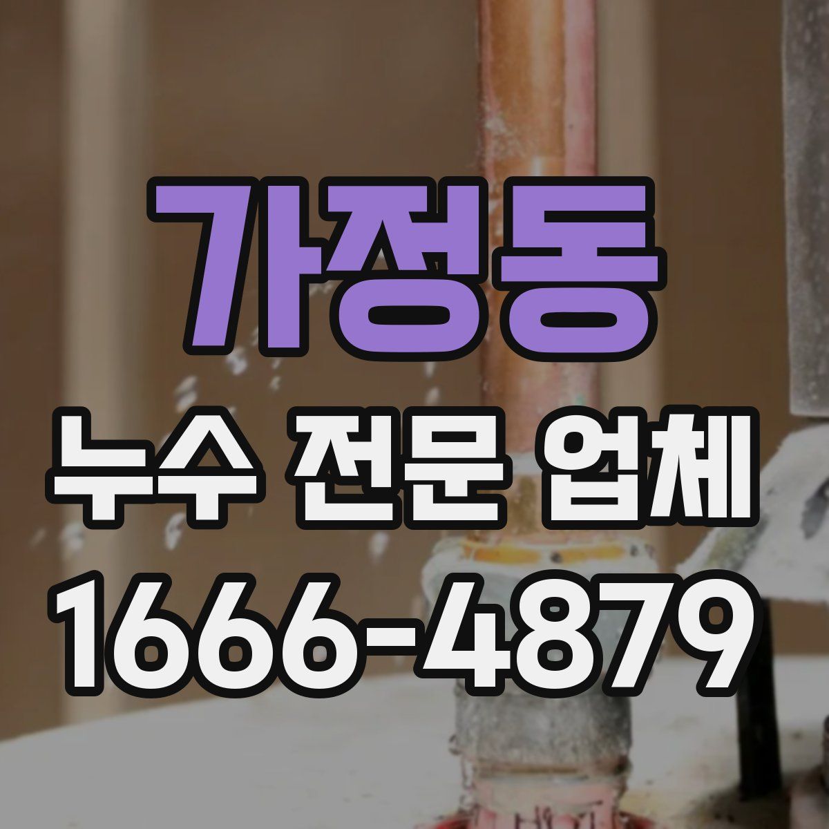 가정동 누수 전문 업체