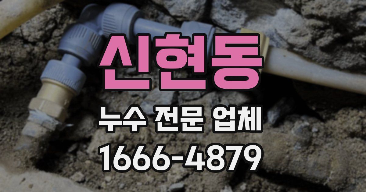 신현동 누수 전문 업체