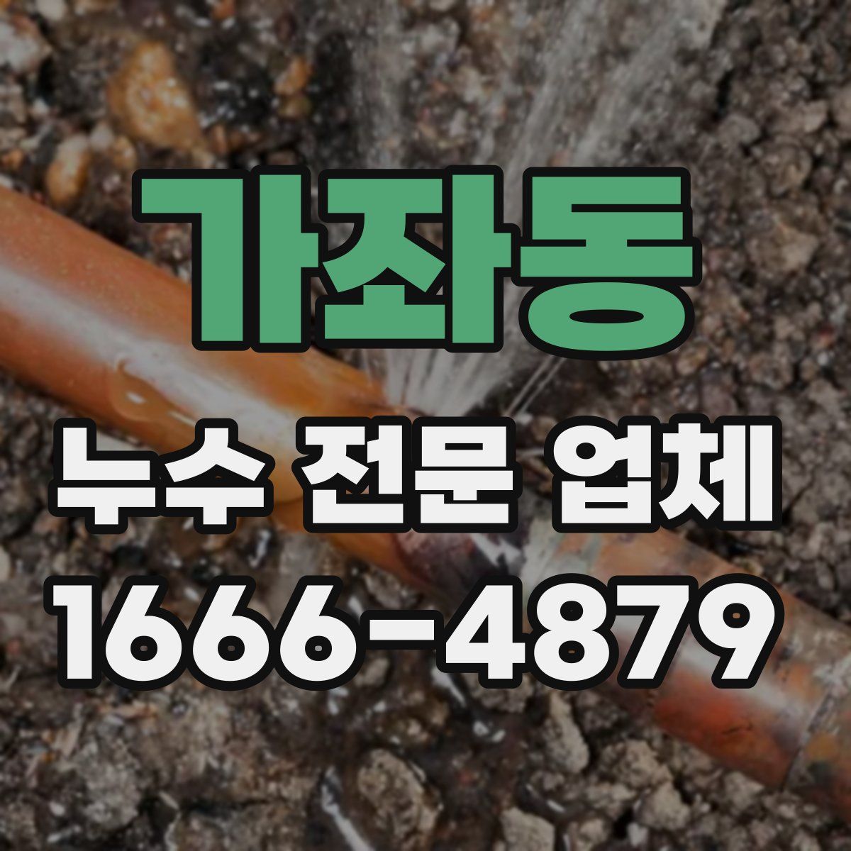 가좌동 누수 전문 업체