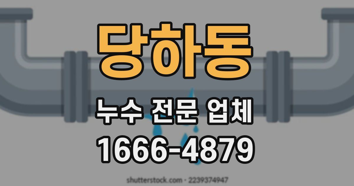 당하동 누수 전문 업체