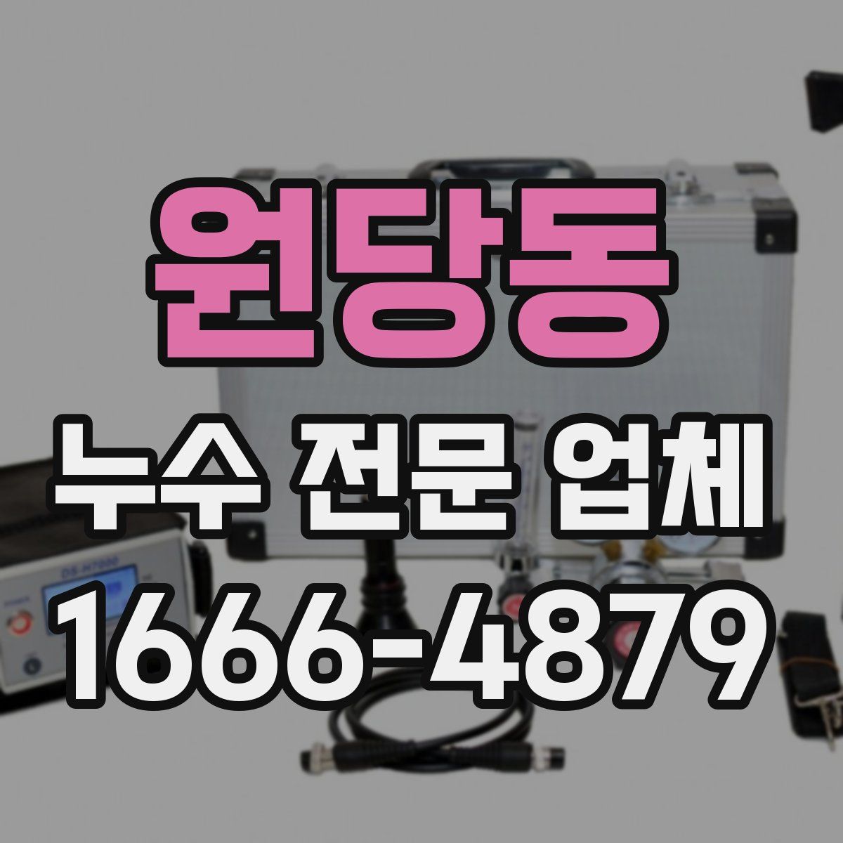 원당동 누수 전문 업체