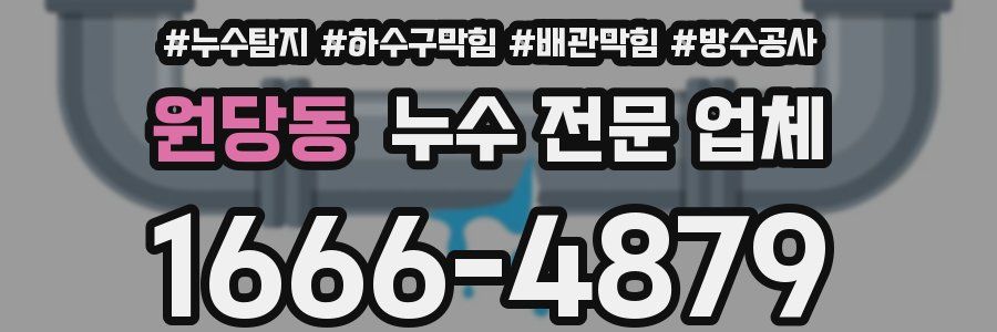 원당동 누수 전문 업체