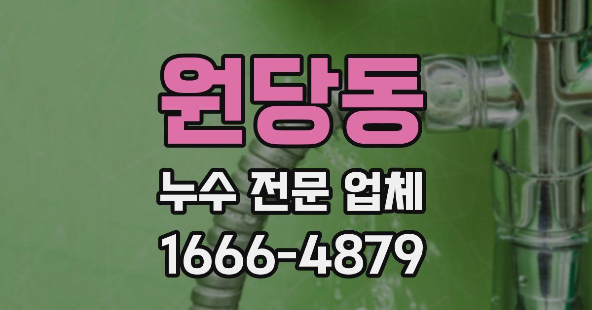 원당동 누수 전문 업체