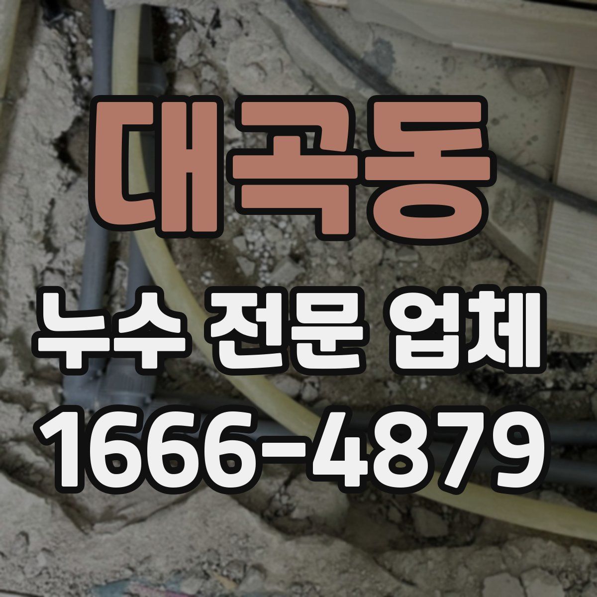 대곡동 누수 전문 업체