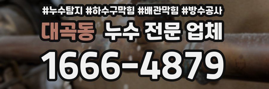 대곡동 누수 전문 업체