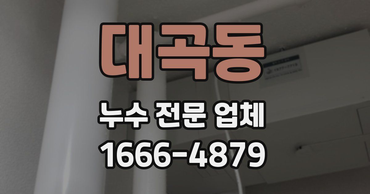 대곡동 누수 전문 업체