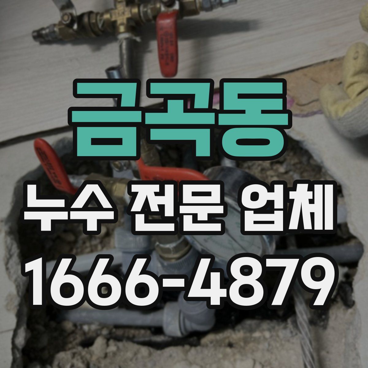 금곡동 누수 전문 업체