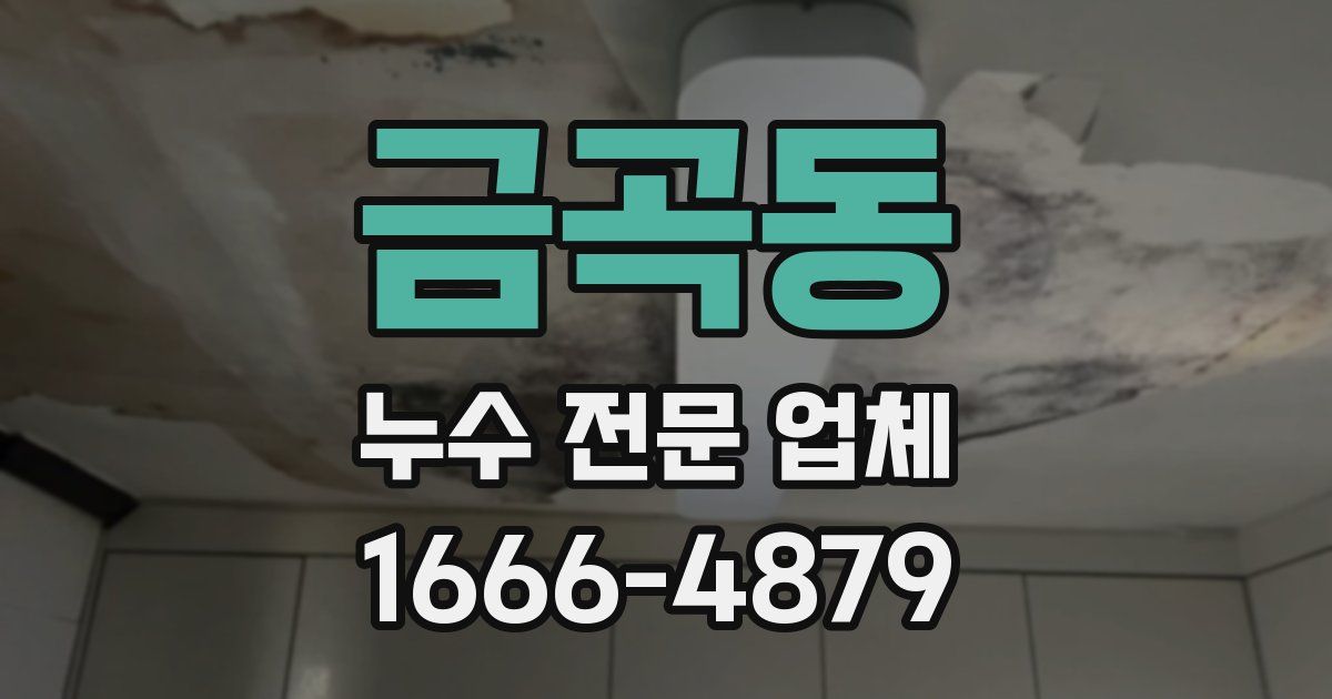 금곡동 누수 전문 업체