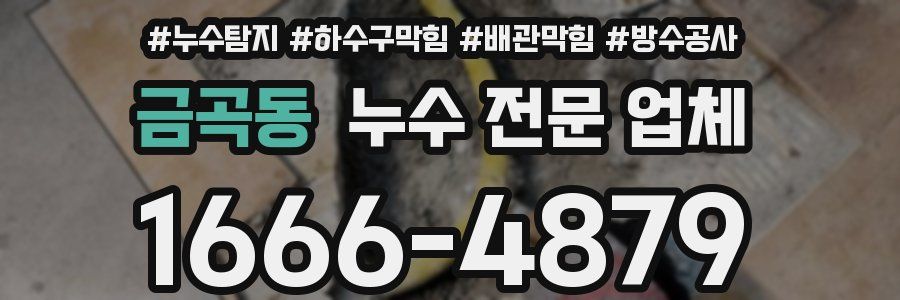 금곡동 누수 전문 업체