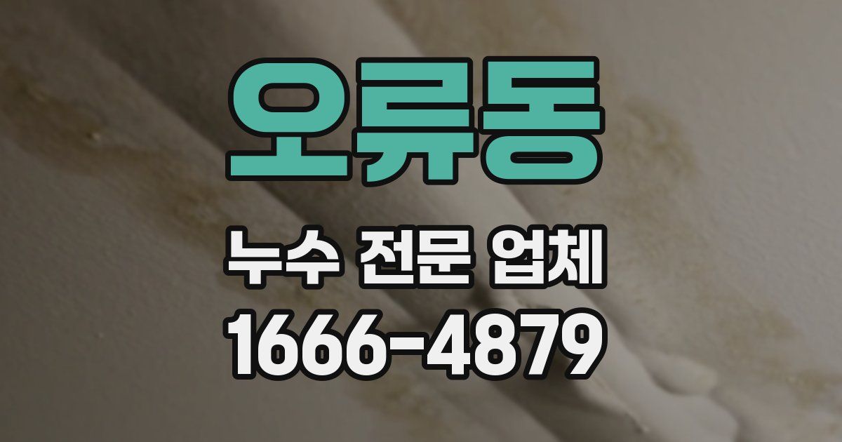 오류동 누수 전문 업체