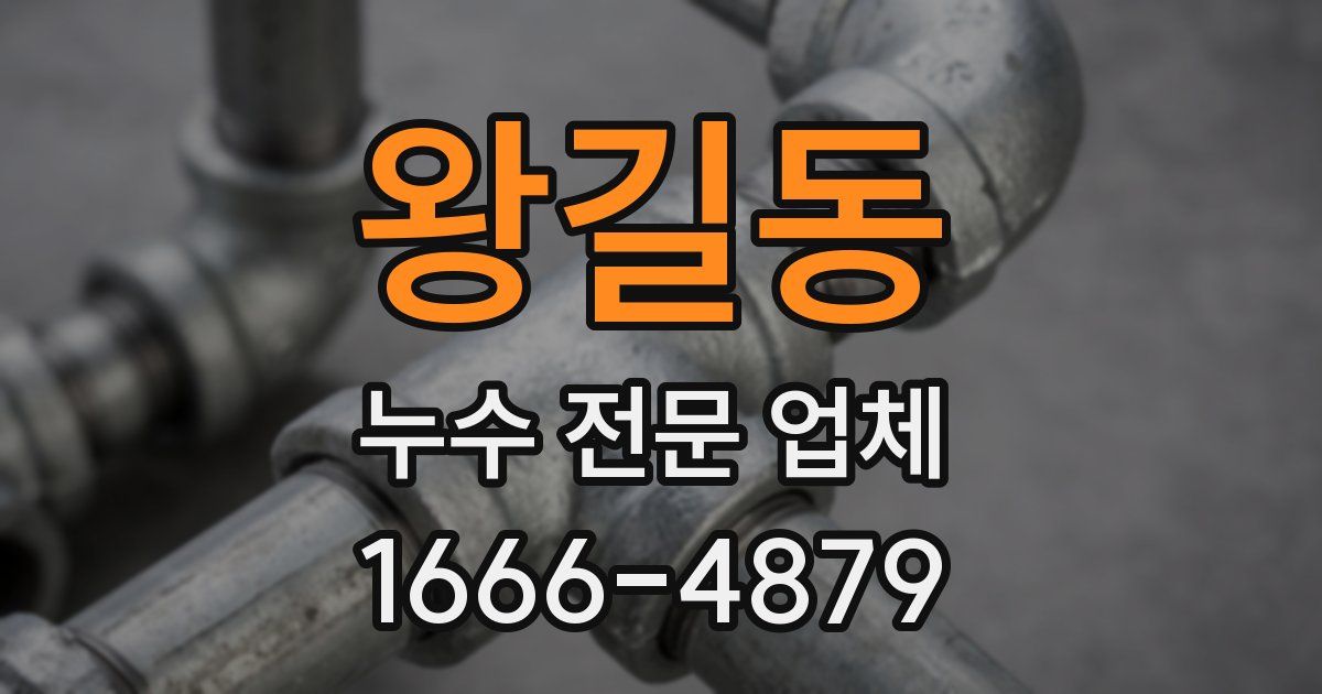 왕길동 누수 전문 업체