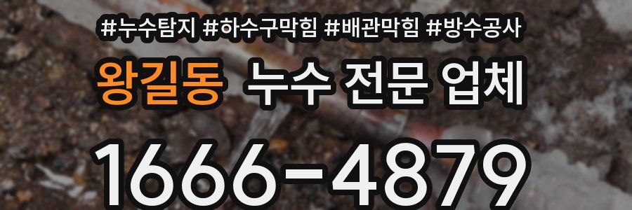 왕길동 누수 전문 업체