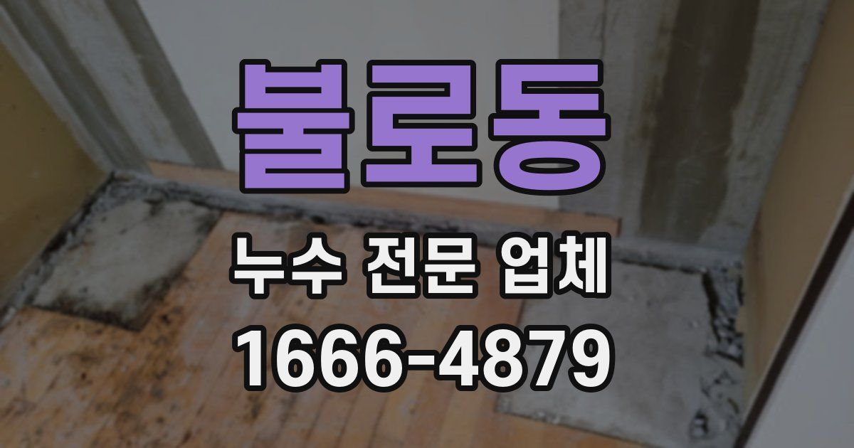 불로동 누수 전문 업체