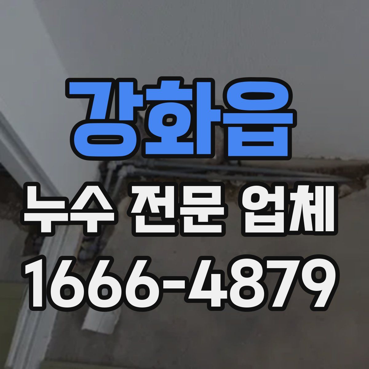 강화읍 누수 전문 업체