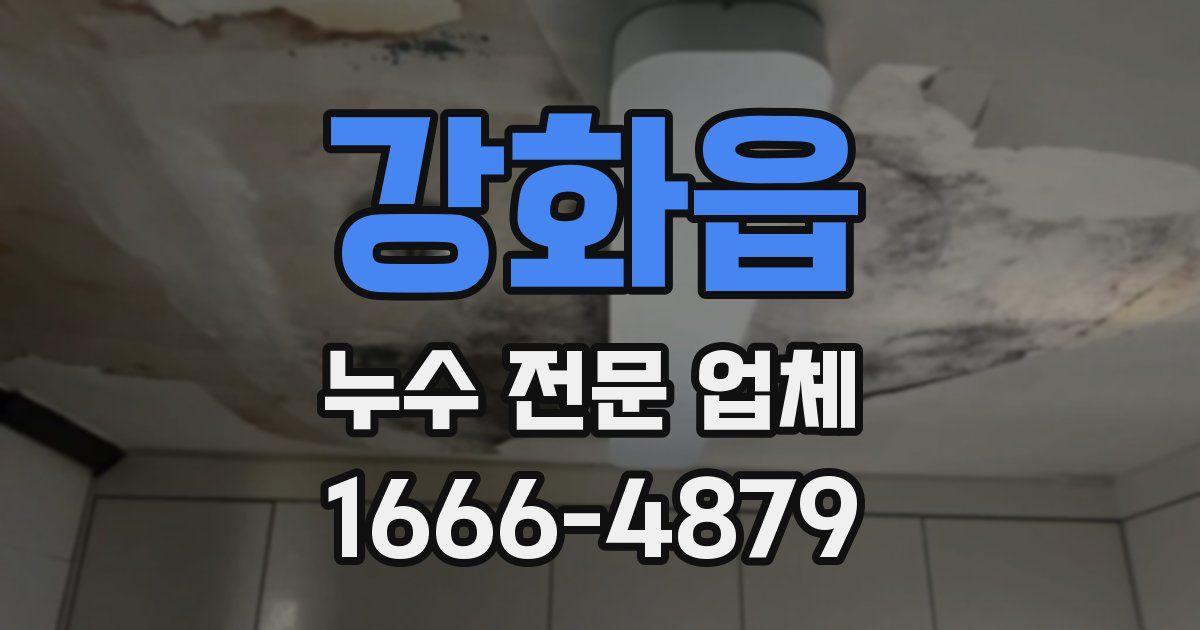 강화읍 누수 전문 업체