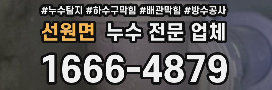 선원면 누수 전문 업체