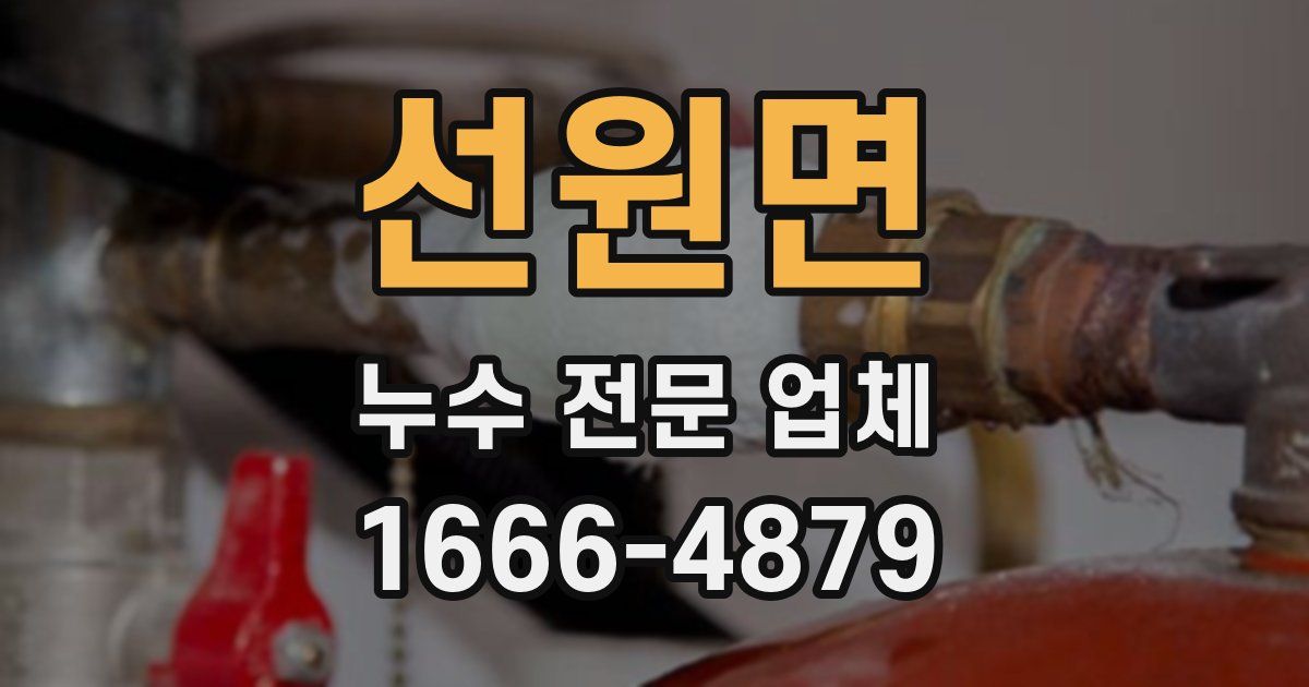 선원면 누수 전문 업체