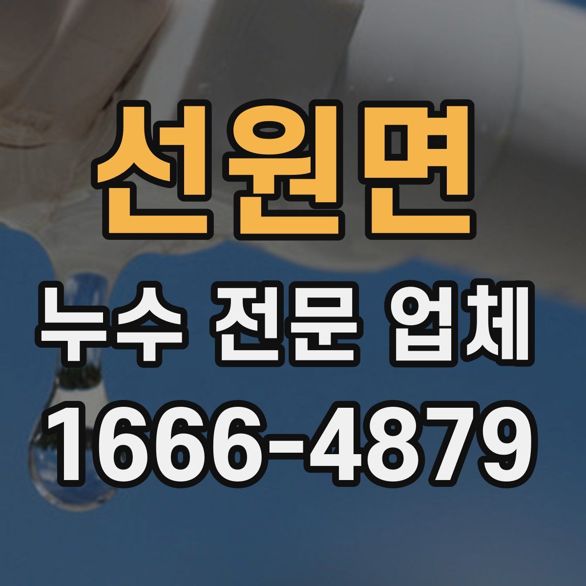 선원면 누수 전문 업체