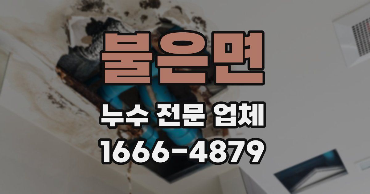 불은면 누수 전문 업체