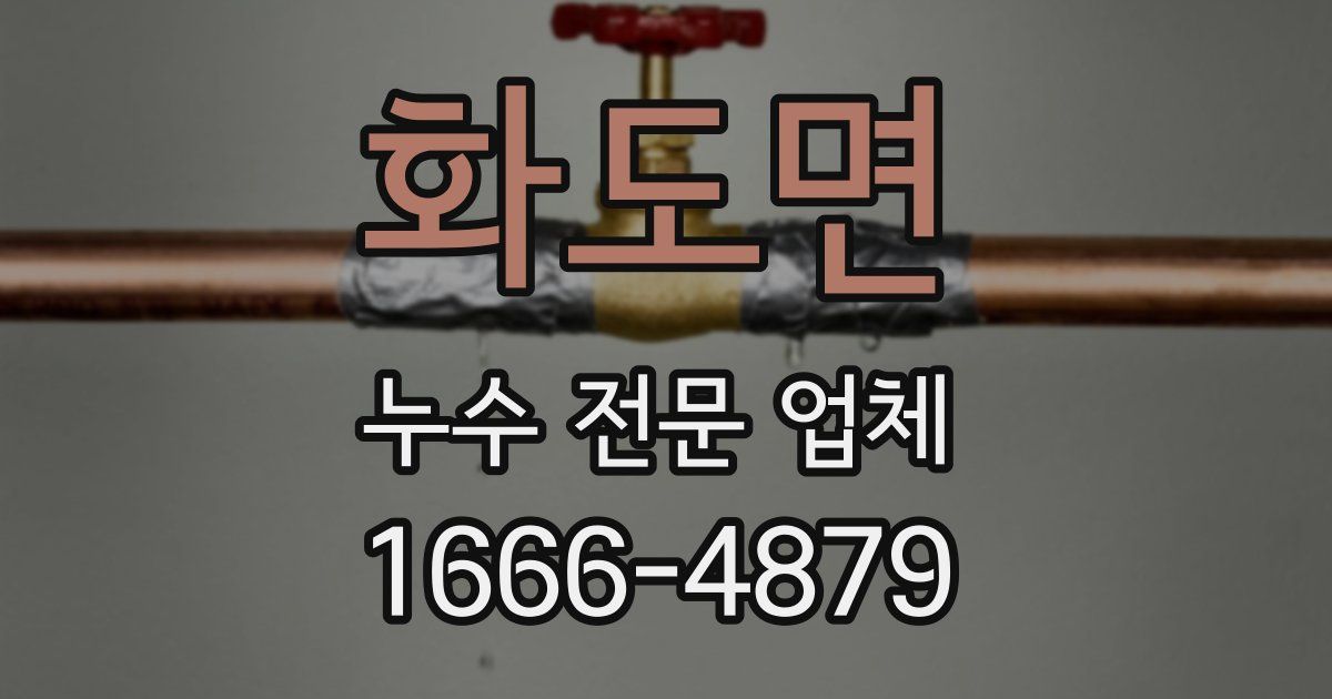 화도면 누수 전문 업체