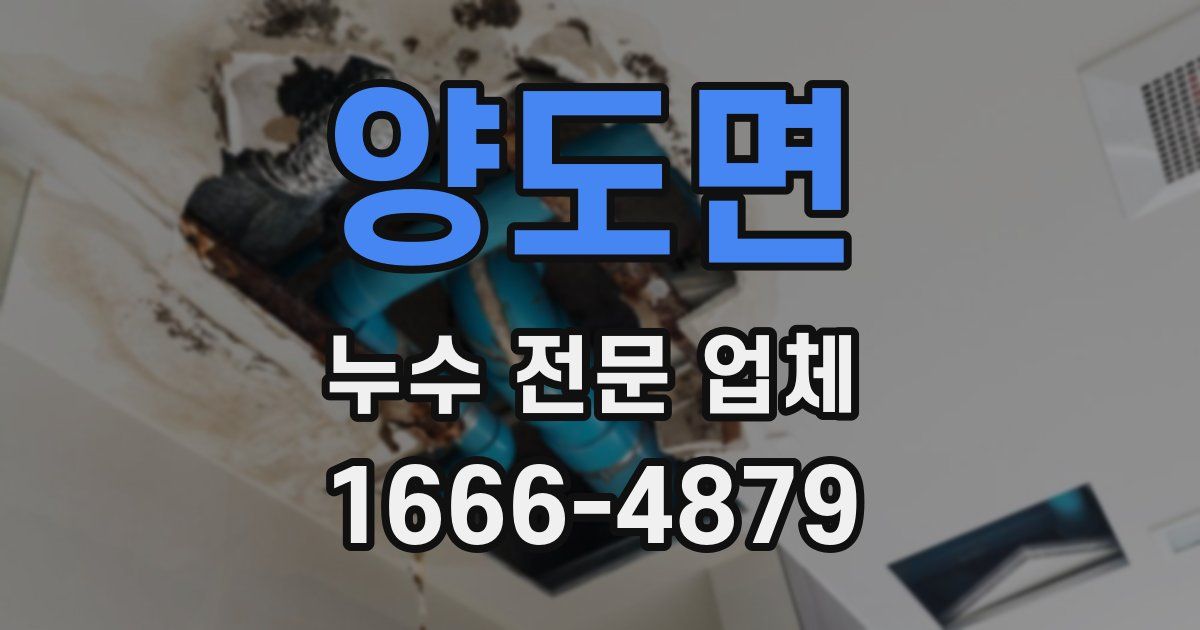 양도면 누수 전문 업체