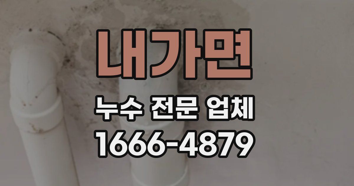 내가면 누수 전문 업체